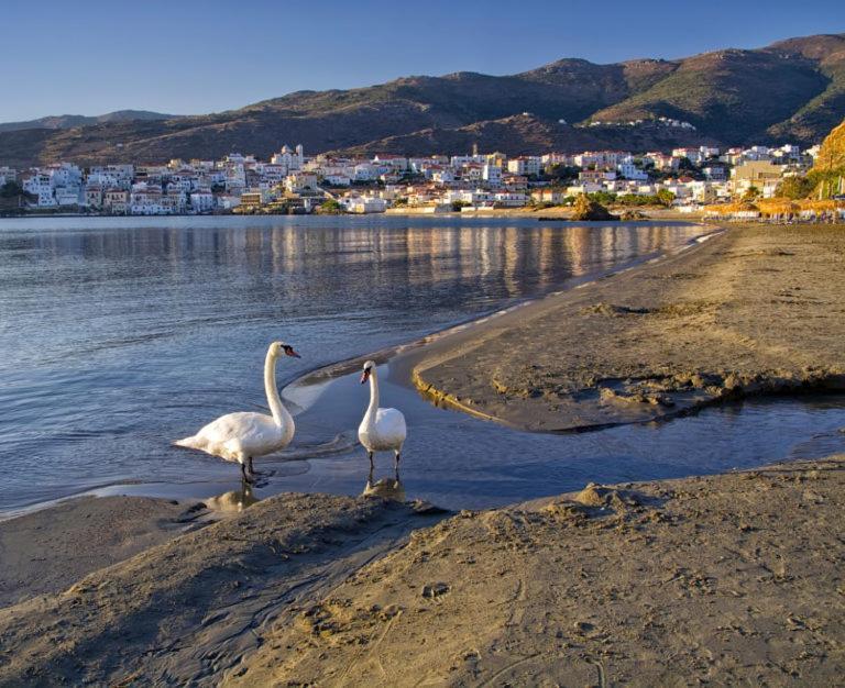 Πλατανακι 2 Seaview Apartment Ándros Exterior foto